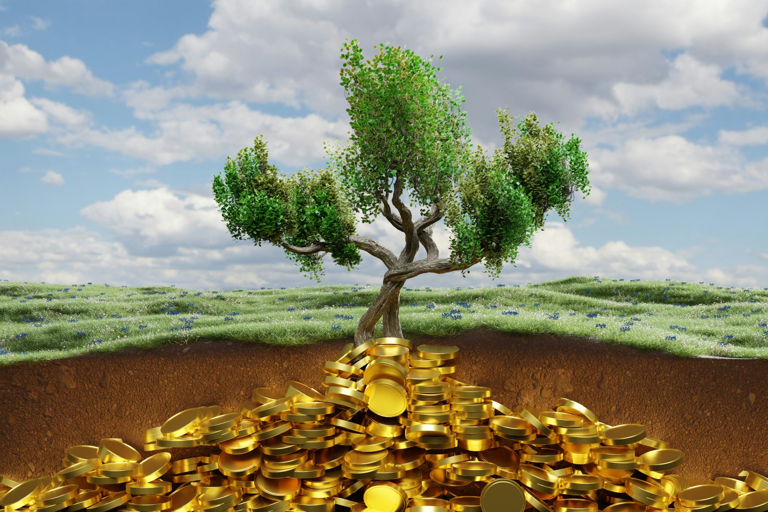 Private Equity Investment