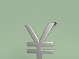 Equity Valuations