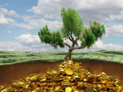 Private Equity Investment