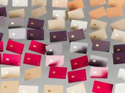 Unmasking Financial Deception Spotting Red Flags in Corporate Statements